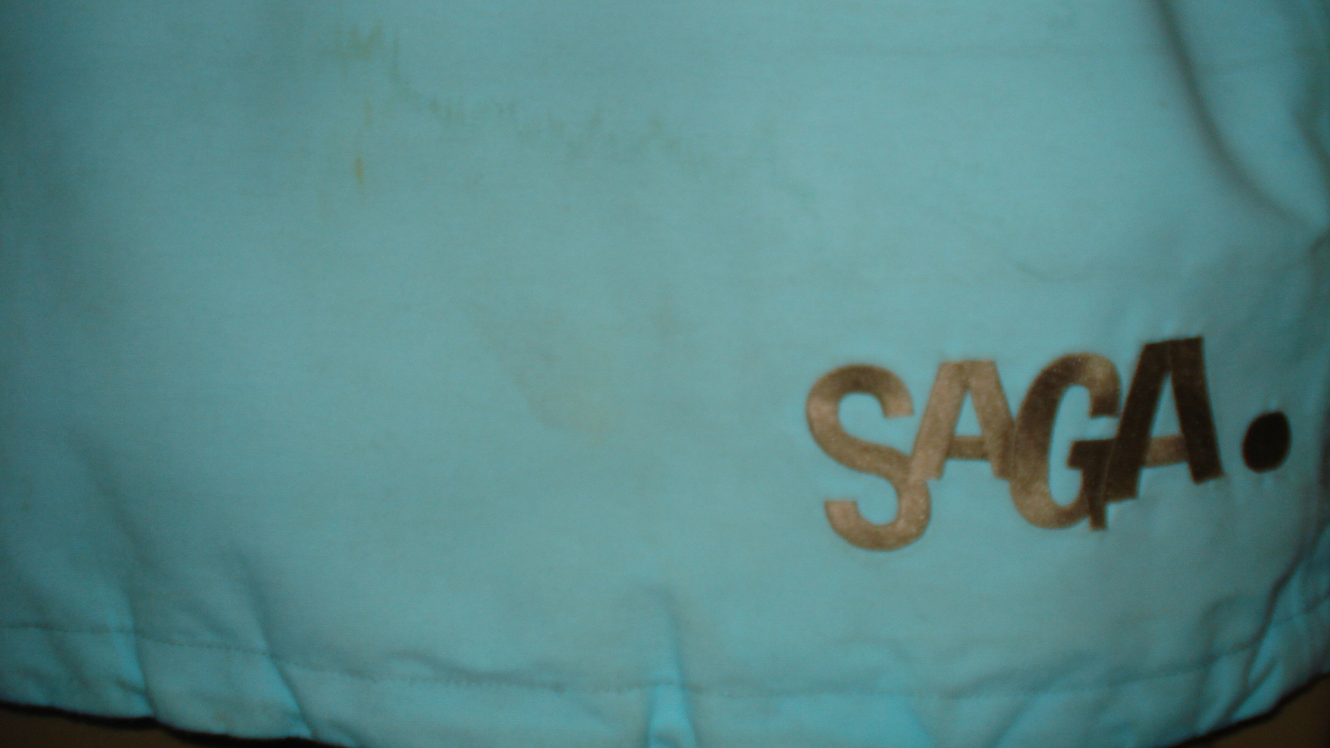 Saga logo.