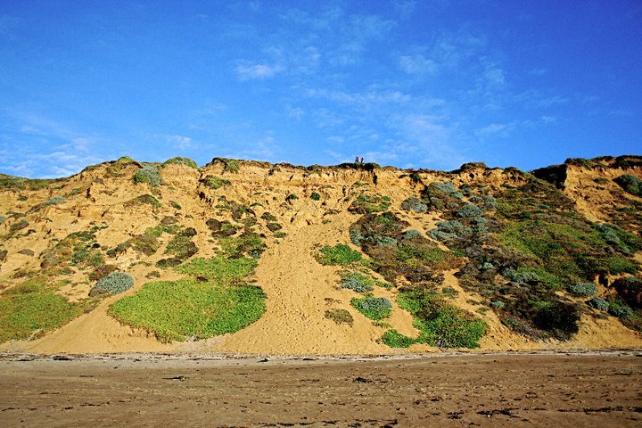 Sand Skiing - The Terrain
