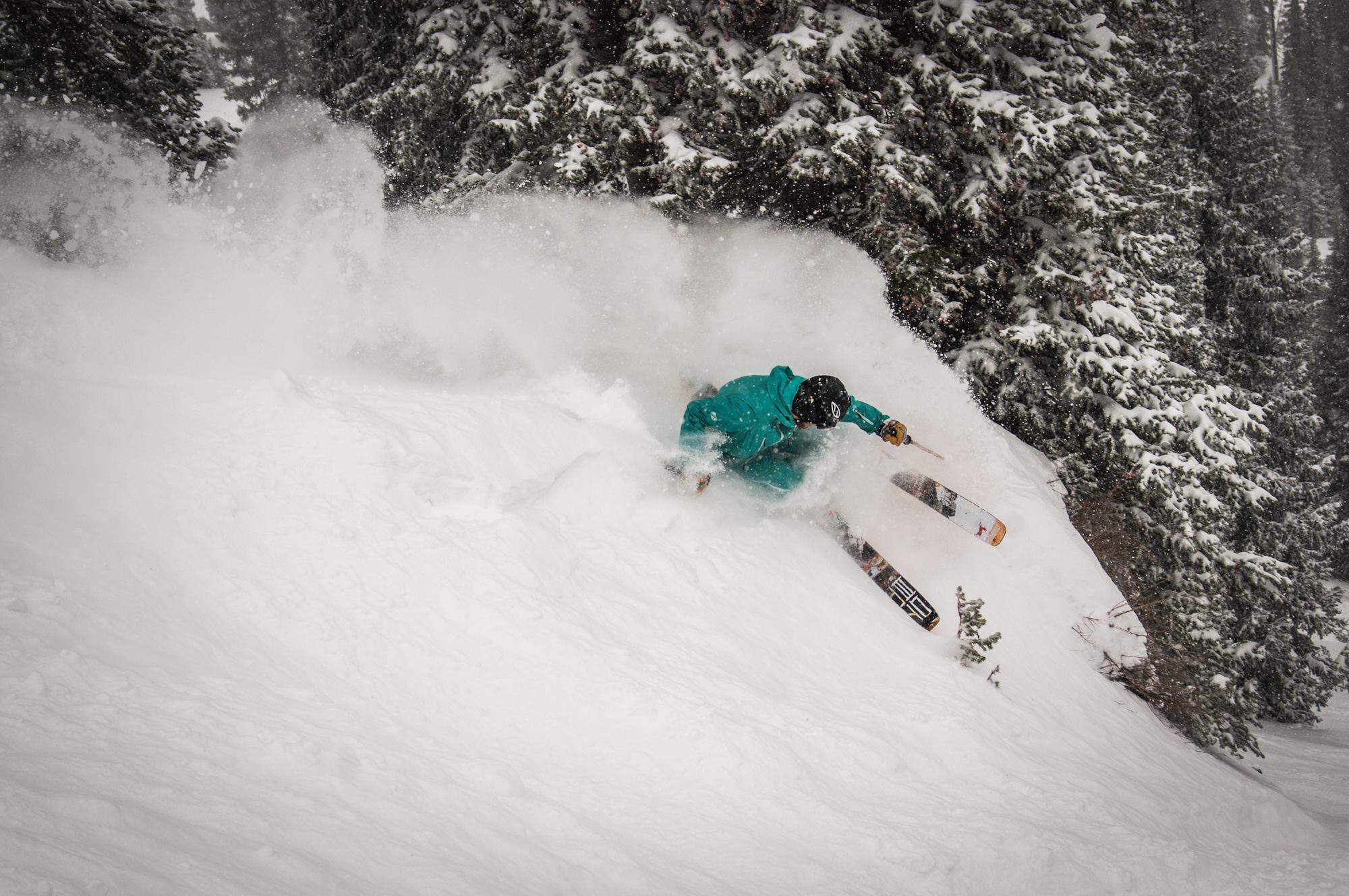 Sander Hadley at Alta