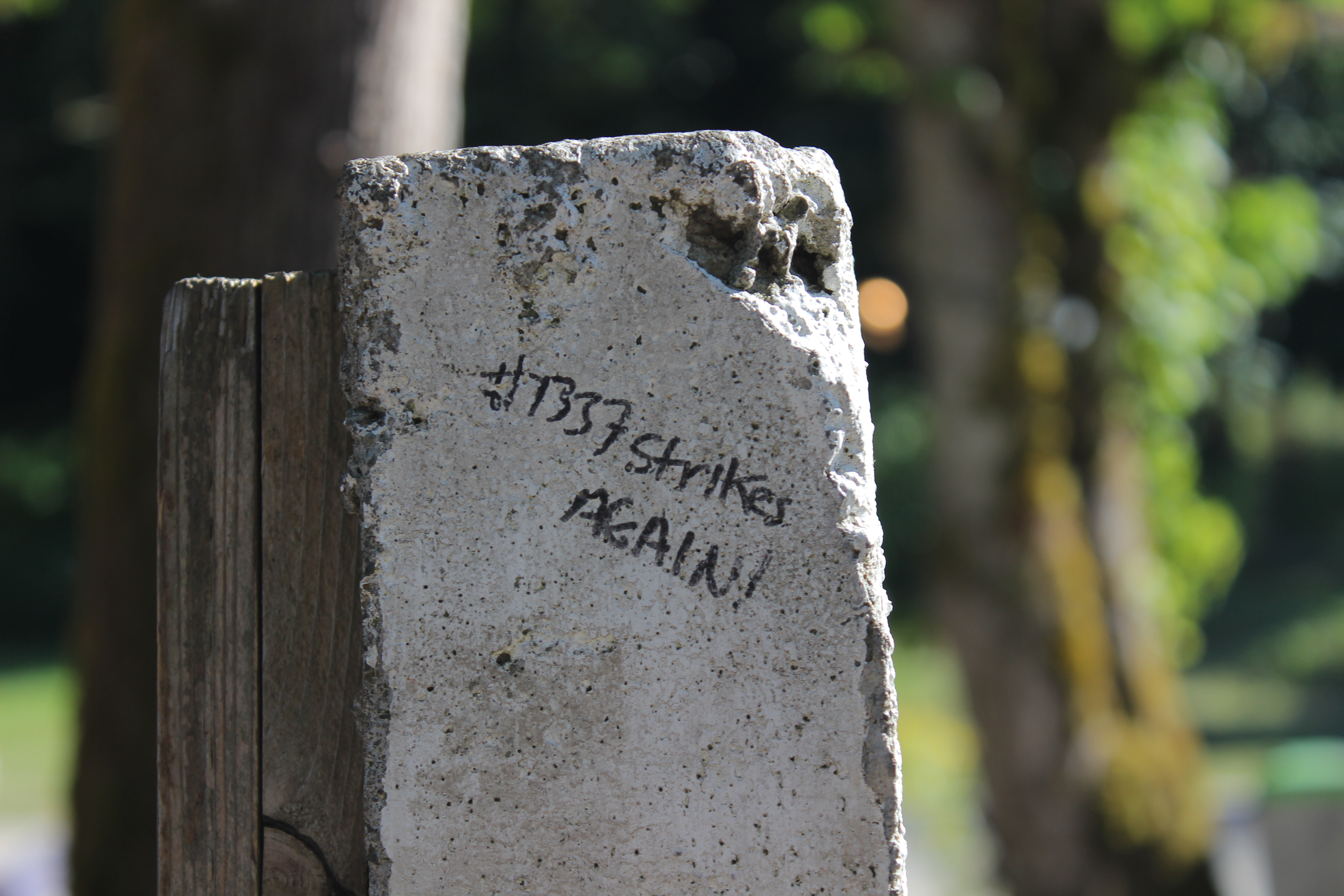 Saw this at Windells