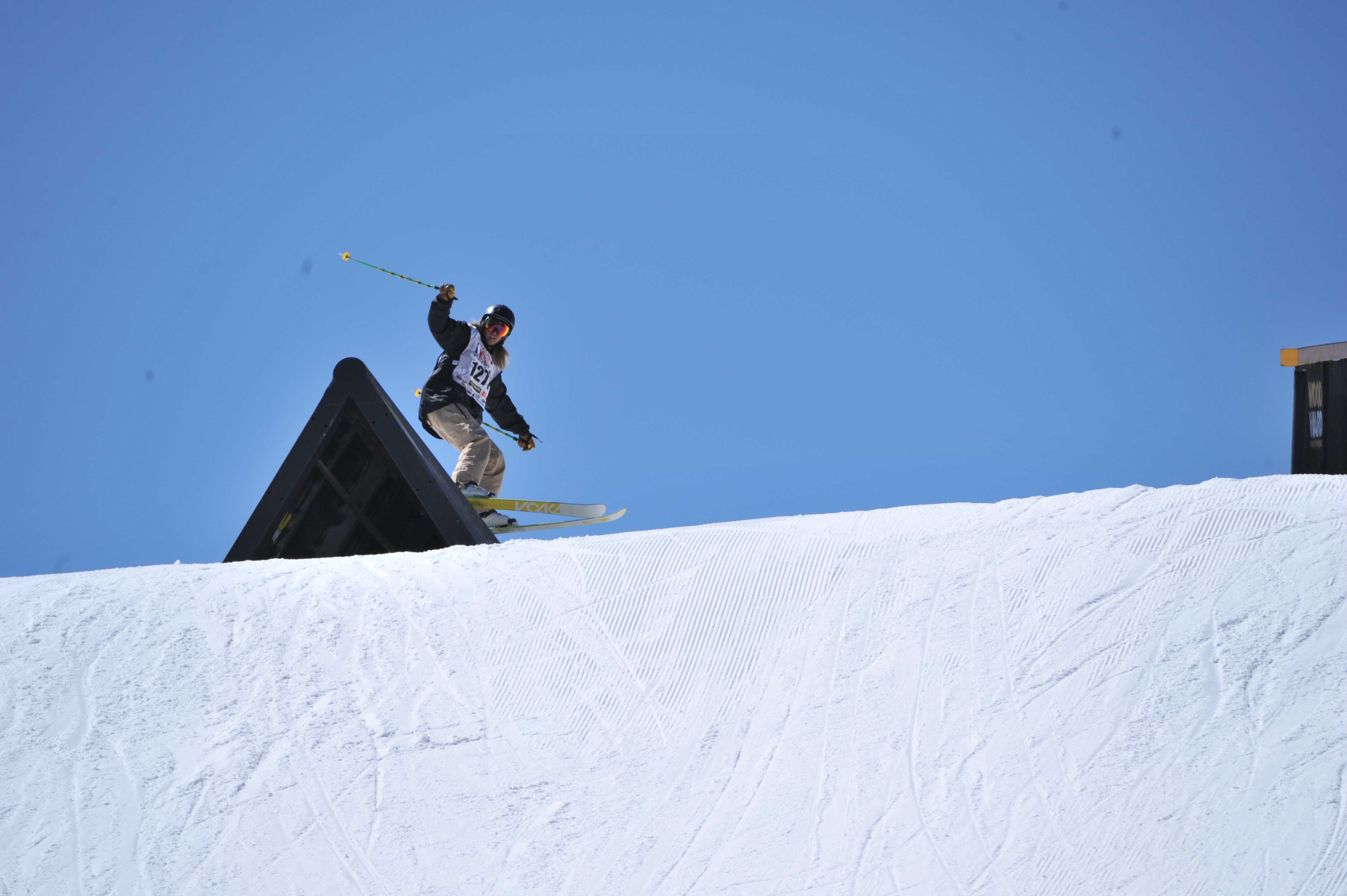 Saying Hi from the Doghouse