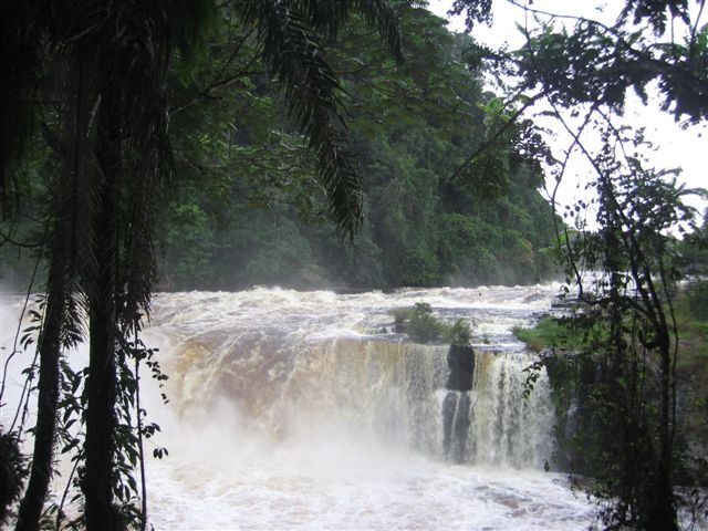 Scenery from my trip to Gabon