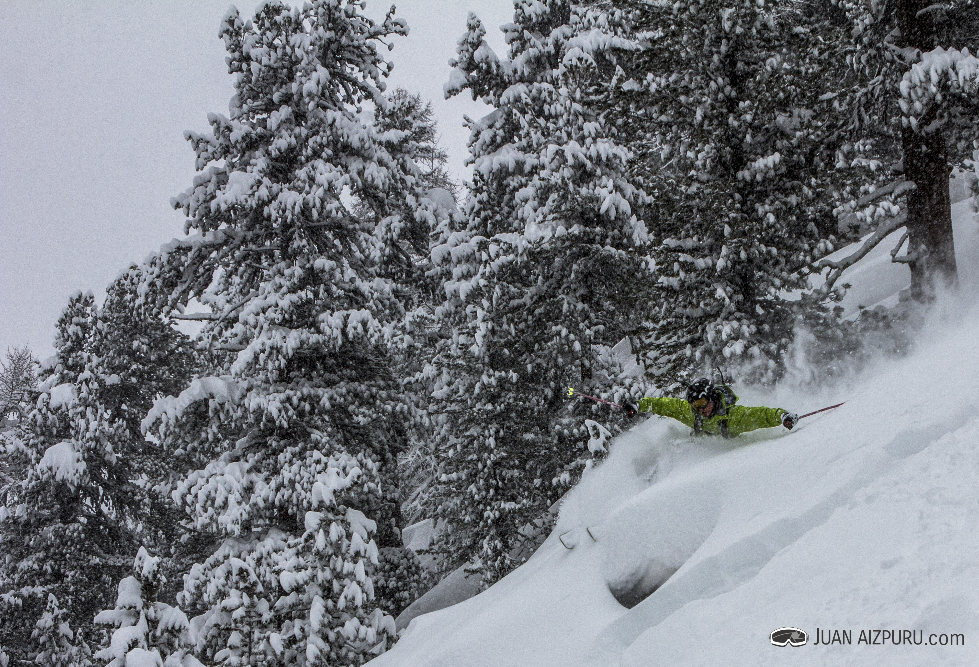 Schvimmen in that swiss sugar