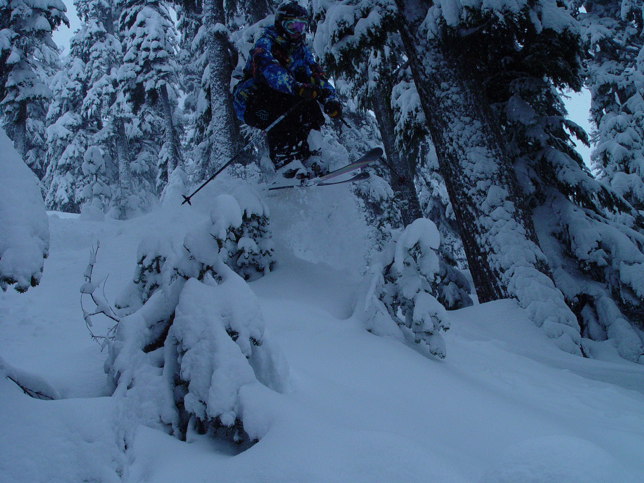 Scootin' through the trees