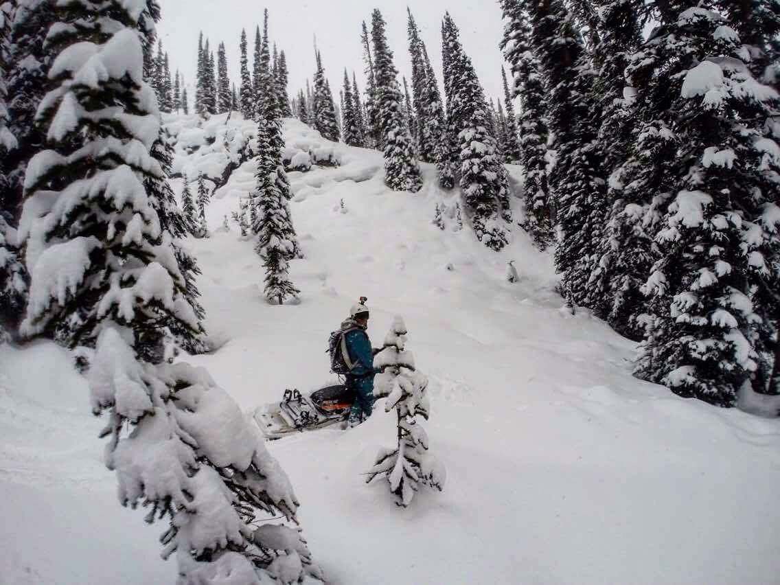 Scoping Pillow Lines 