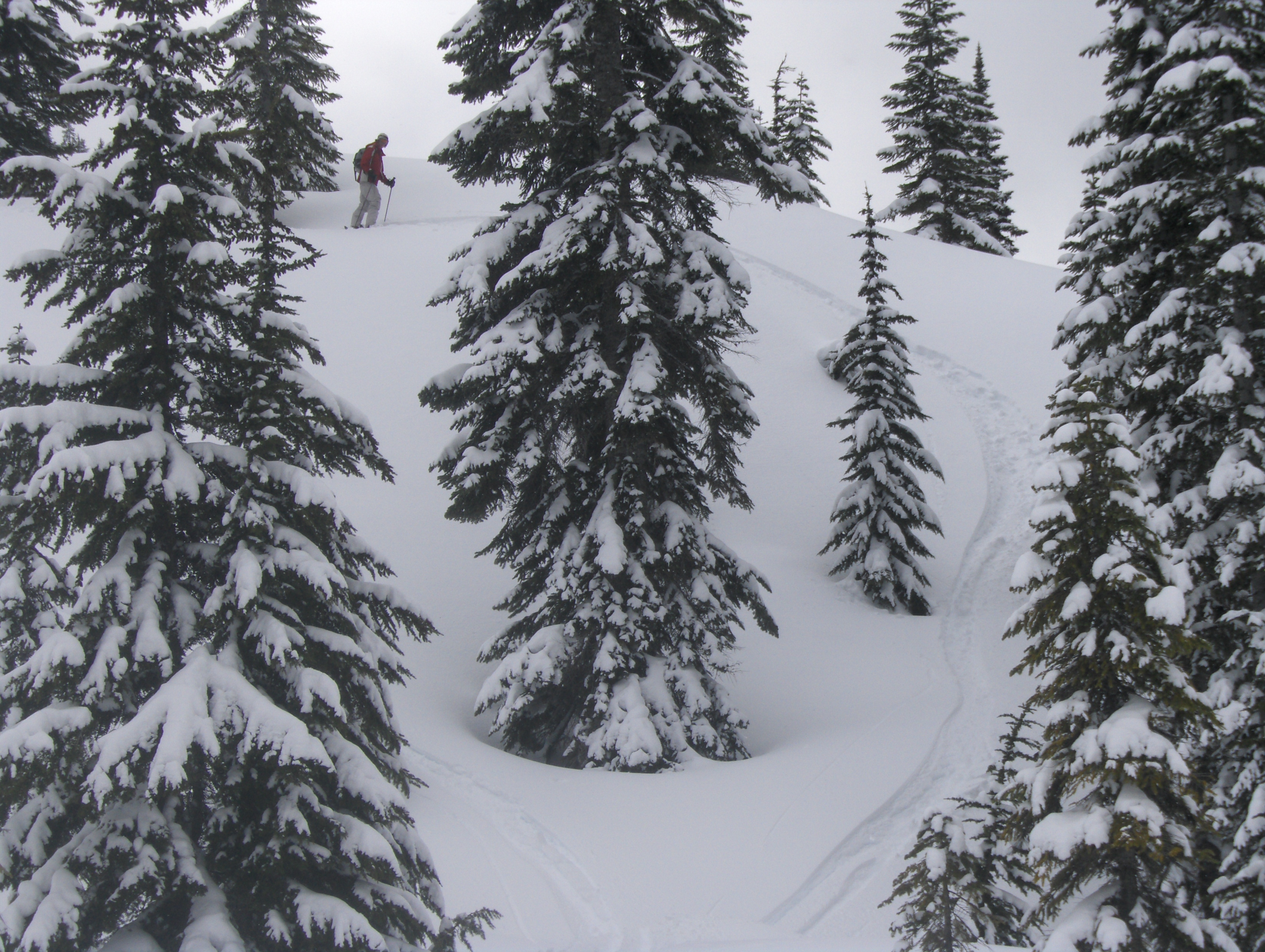 Scott above his line