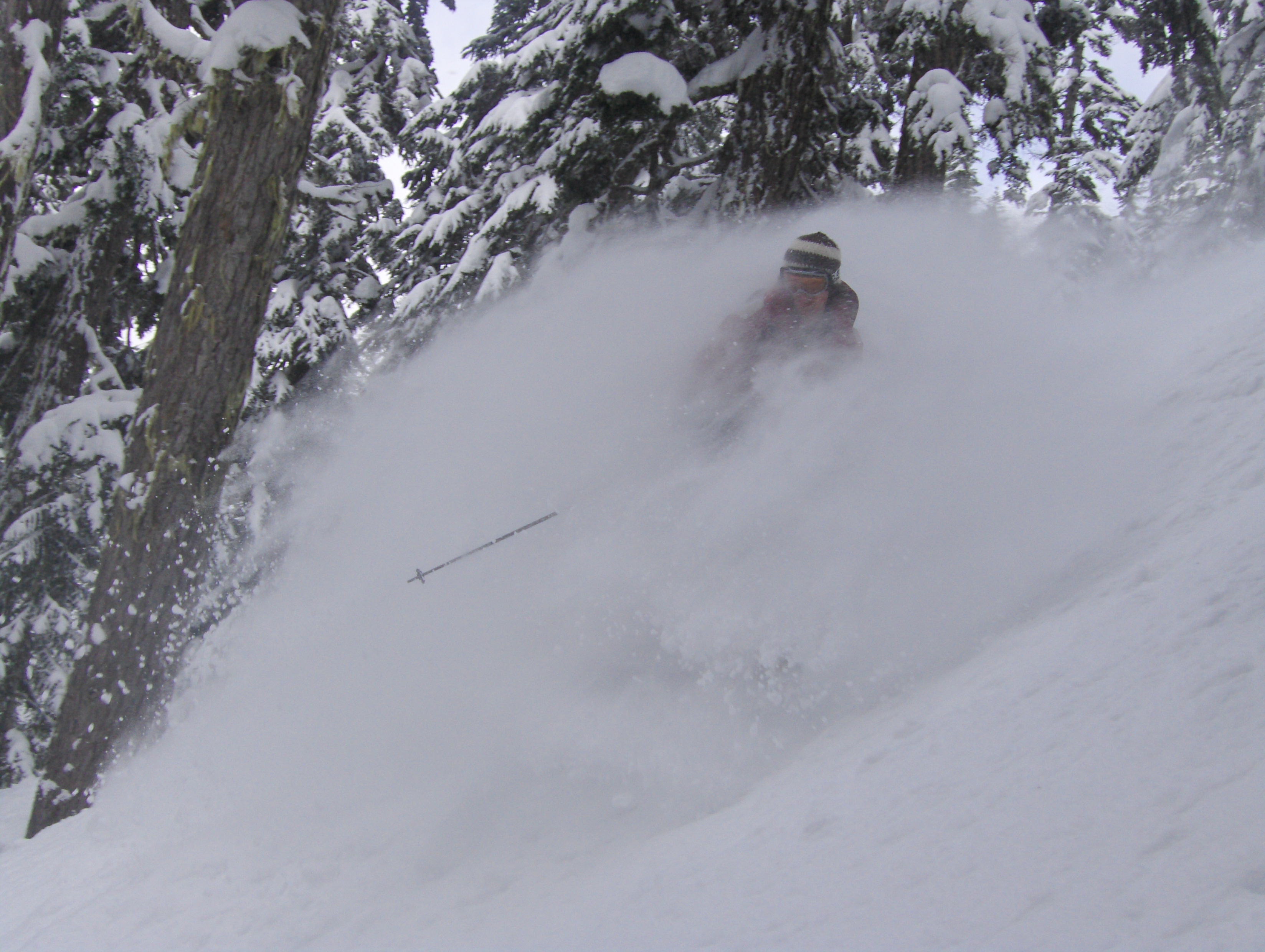 Scotts in there somewhere