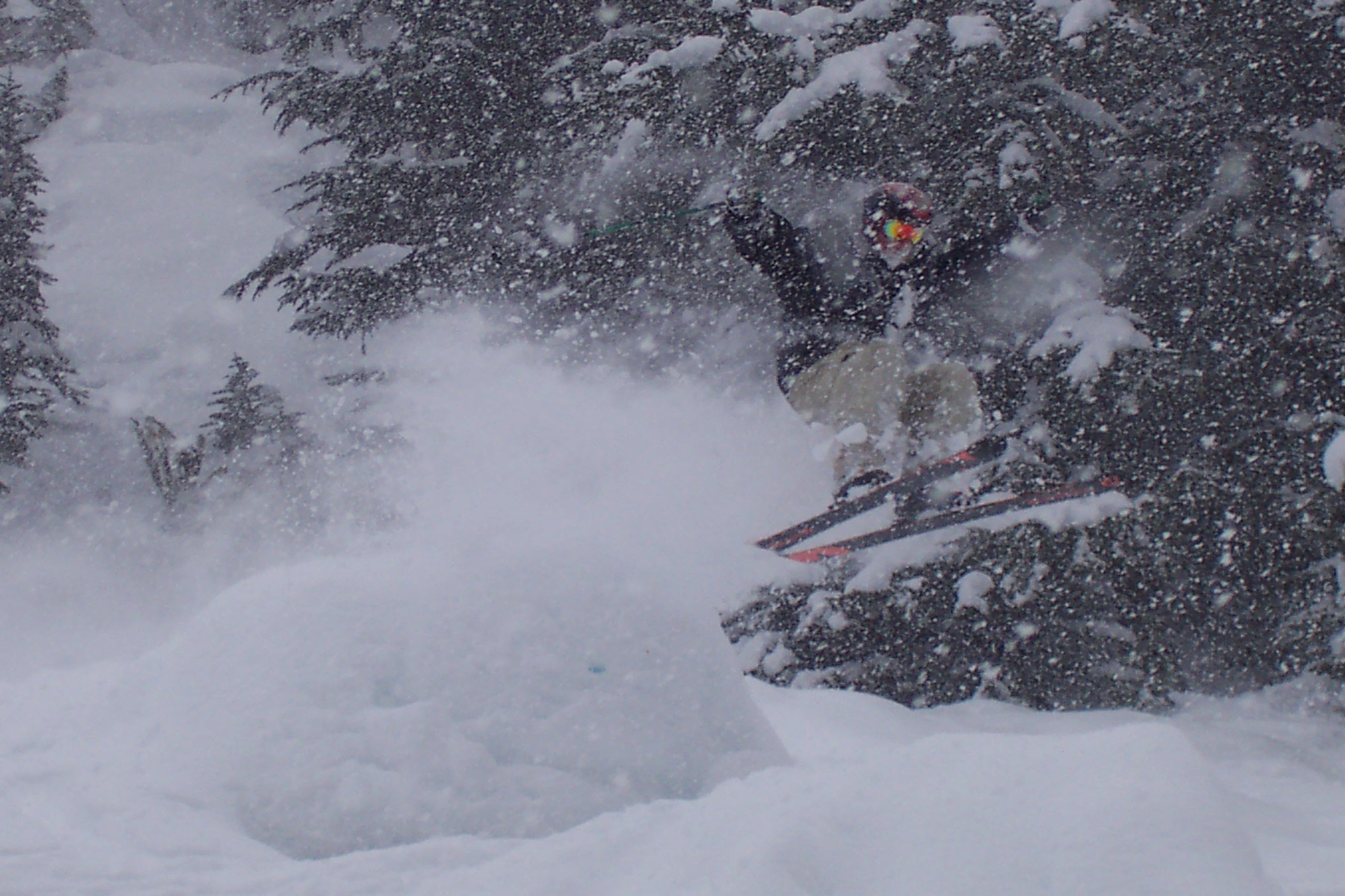 Screw the tooth fairy