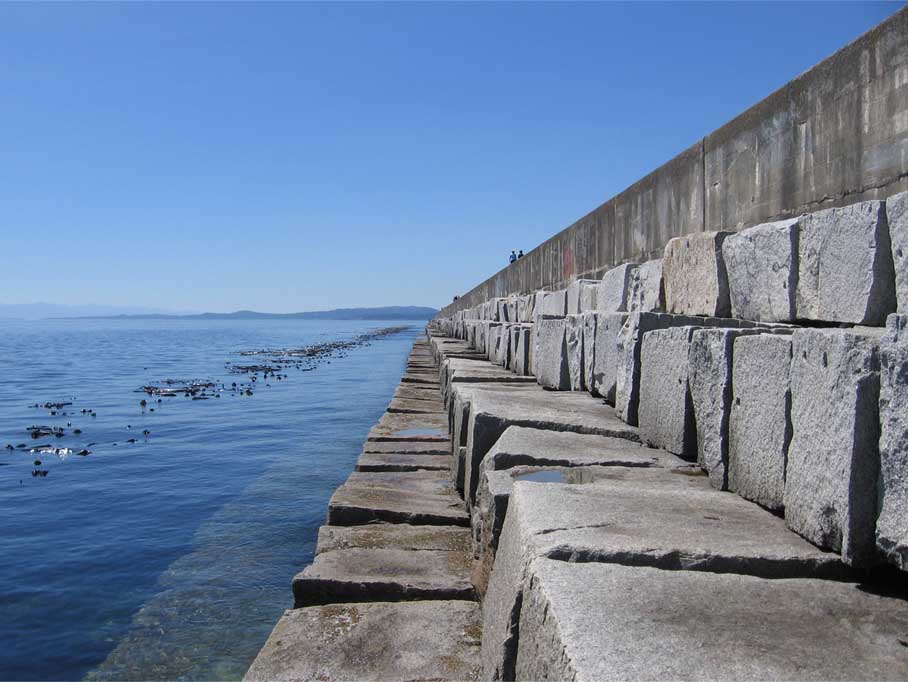 Sea Wall