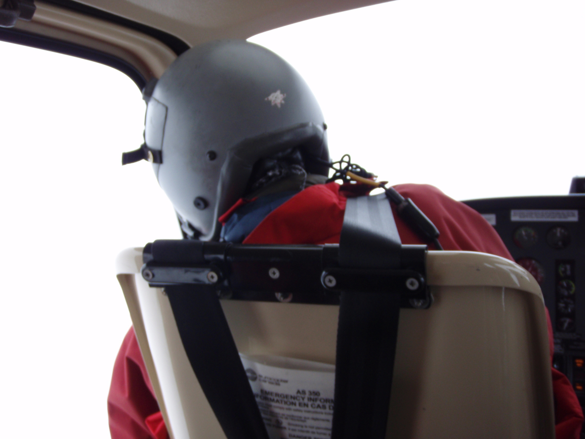 Seamus flying by brail