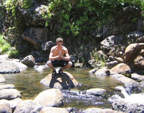 serenity in the trees