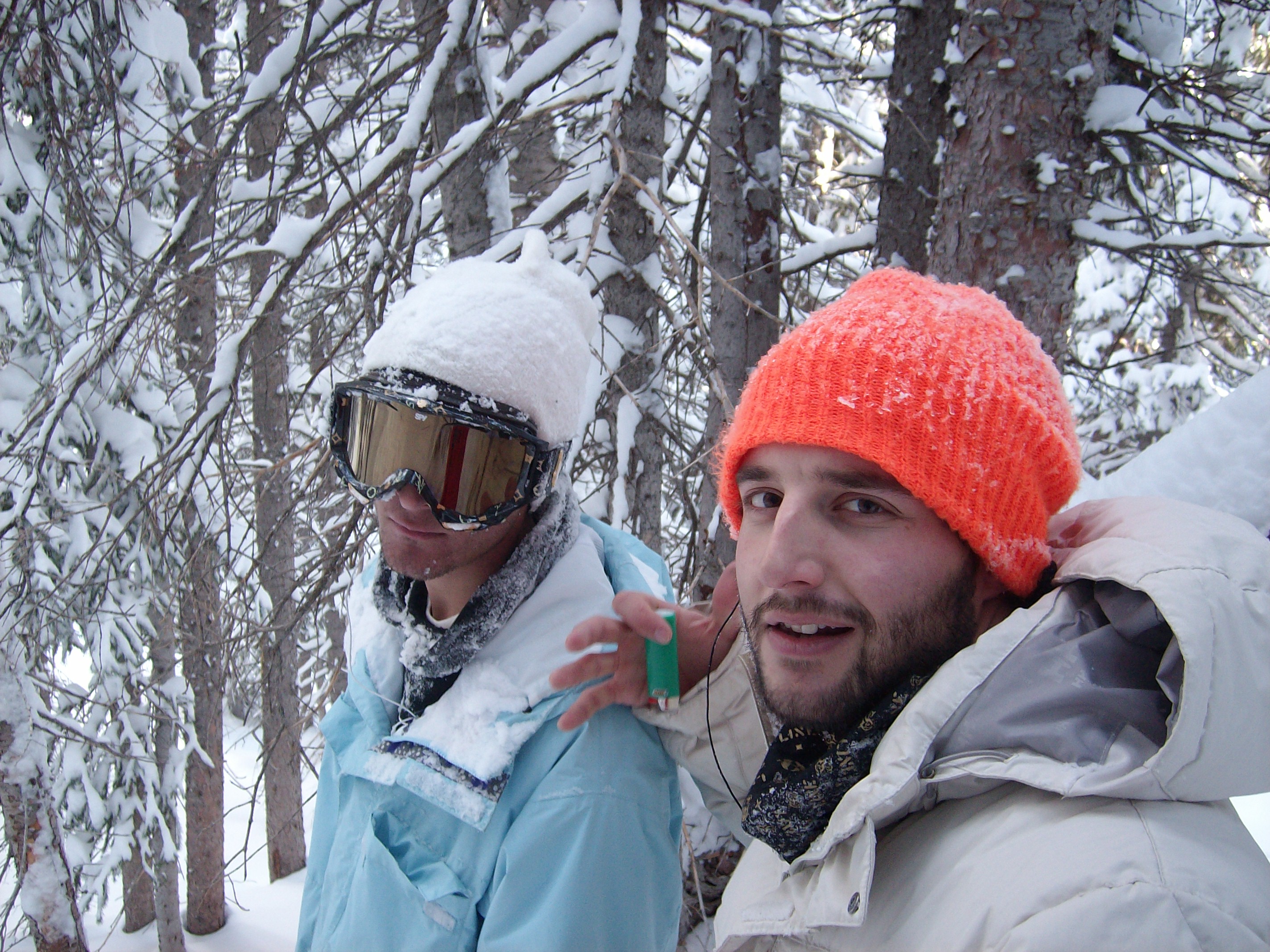 Session on the GREEN Tree's