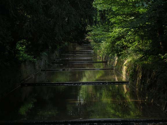 Shaded dammed stream