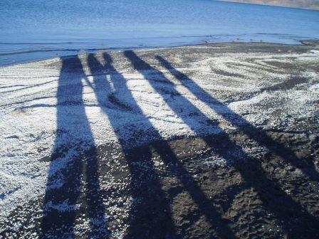 shadows on sea shells