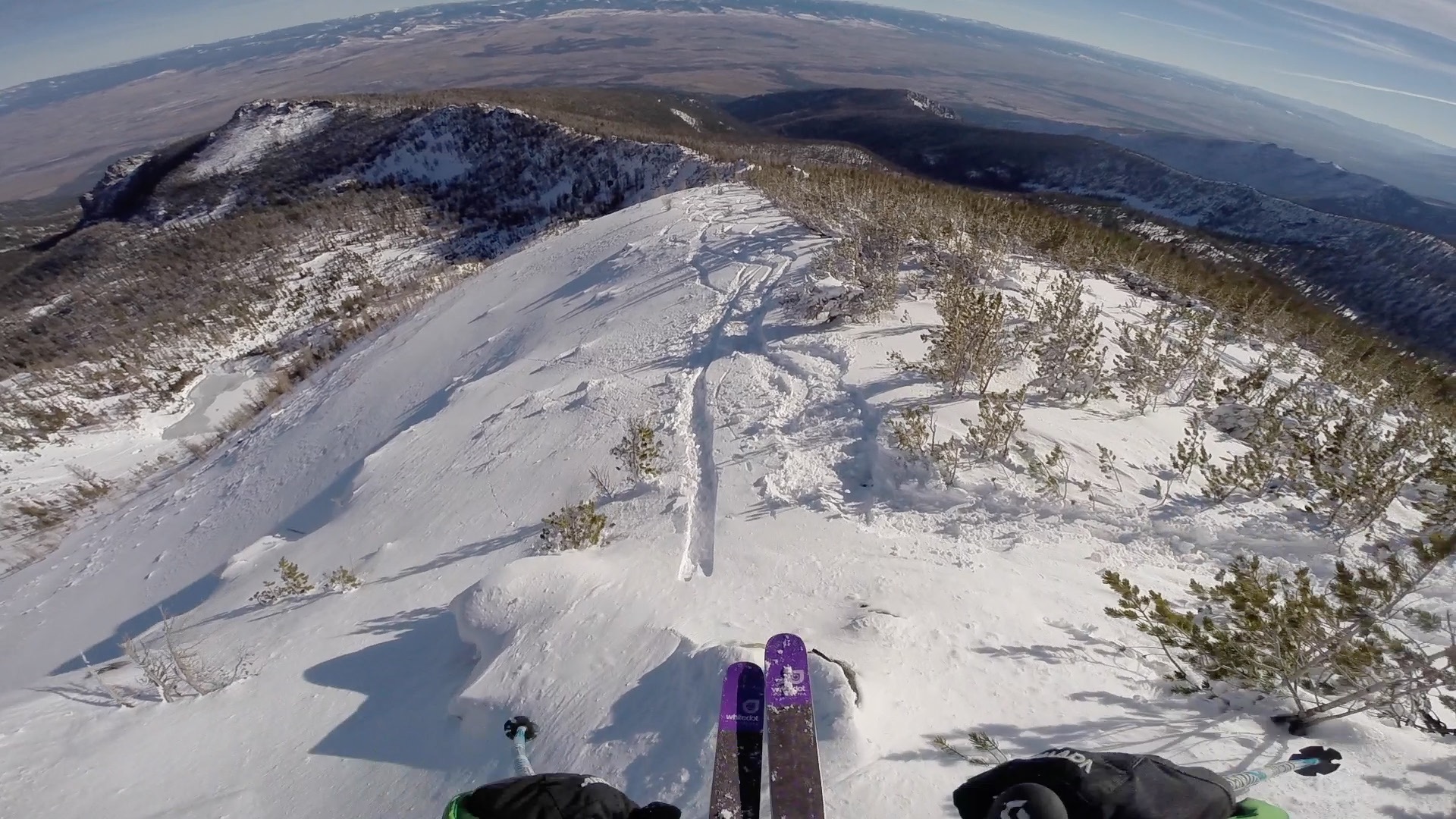 shark infested waters