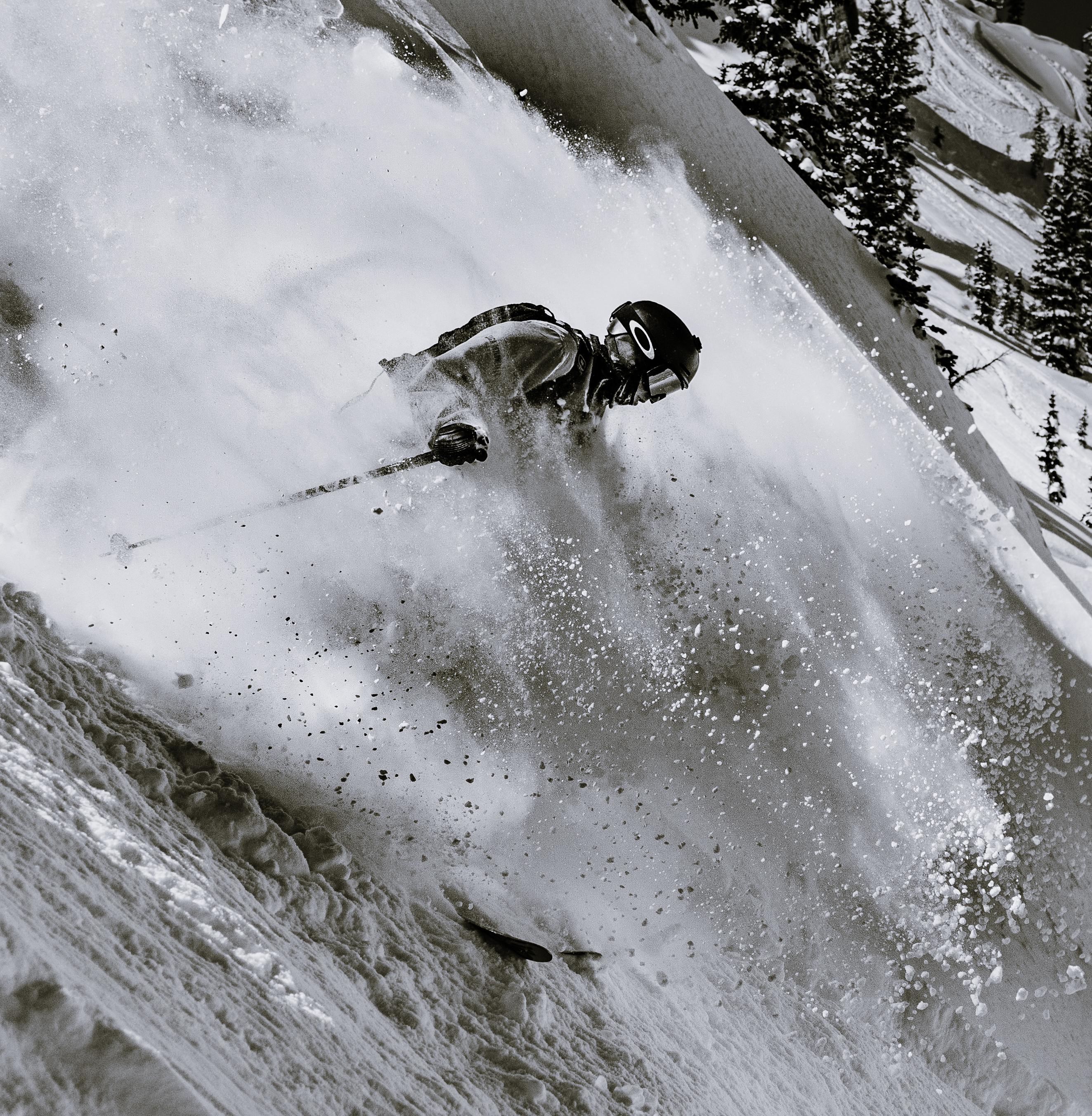 She Just Want The Coco