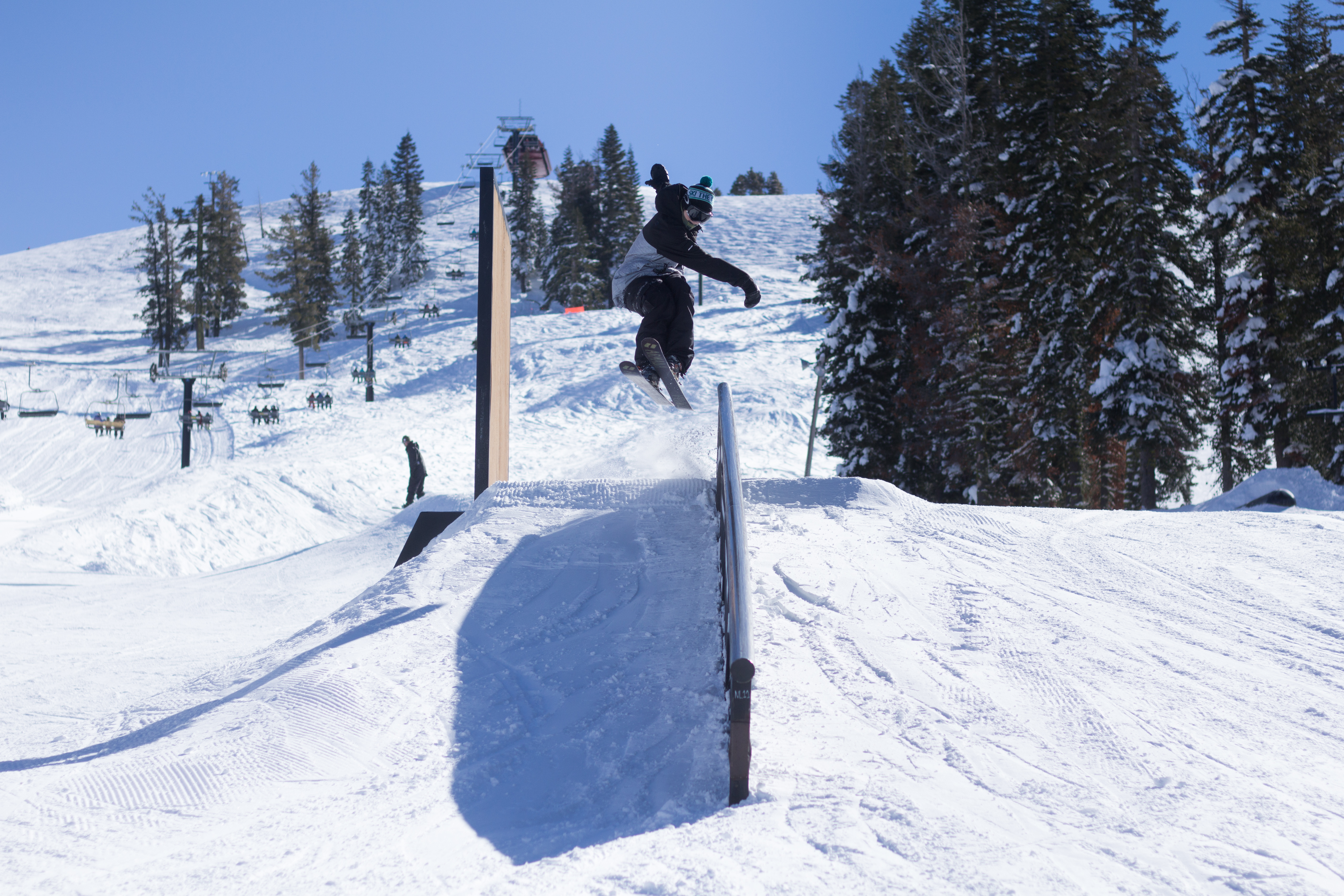 Shifty on with a dash of boreal magic, S.McChesney