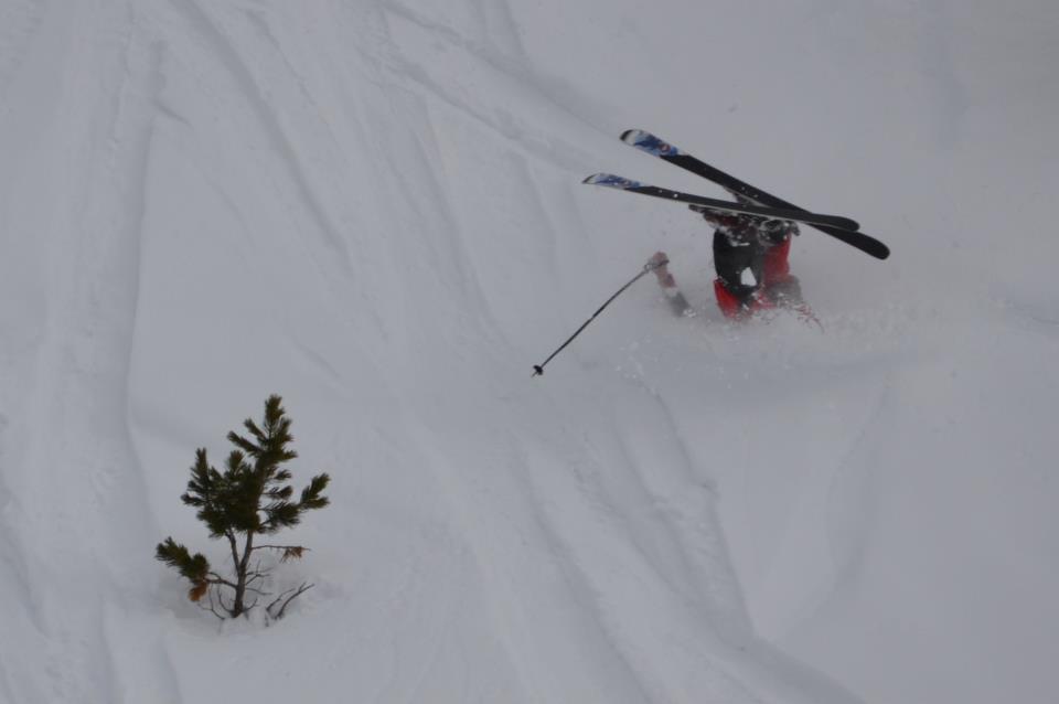 Should I call Patrol?