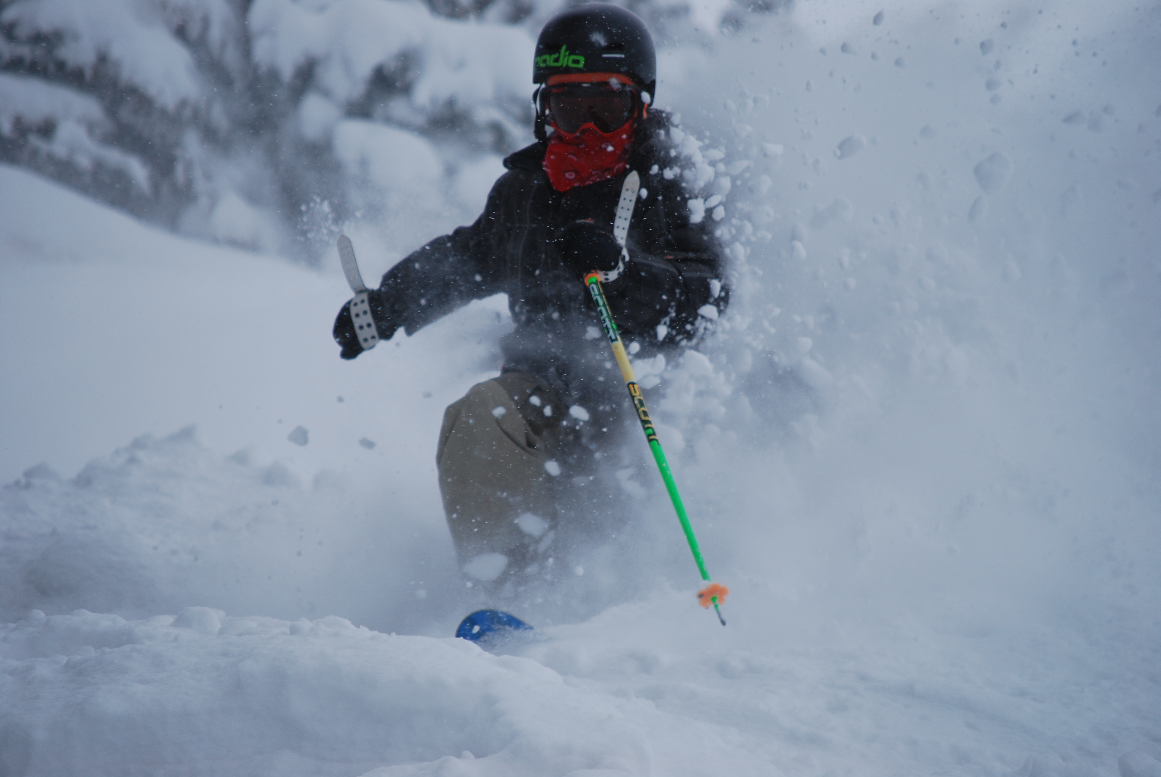 Shred pow