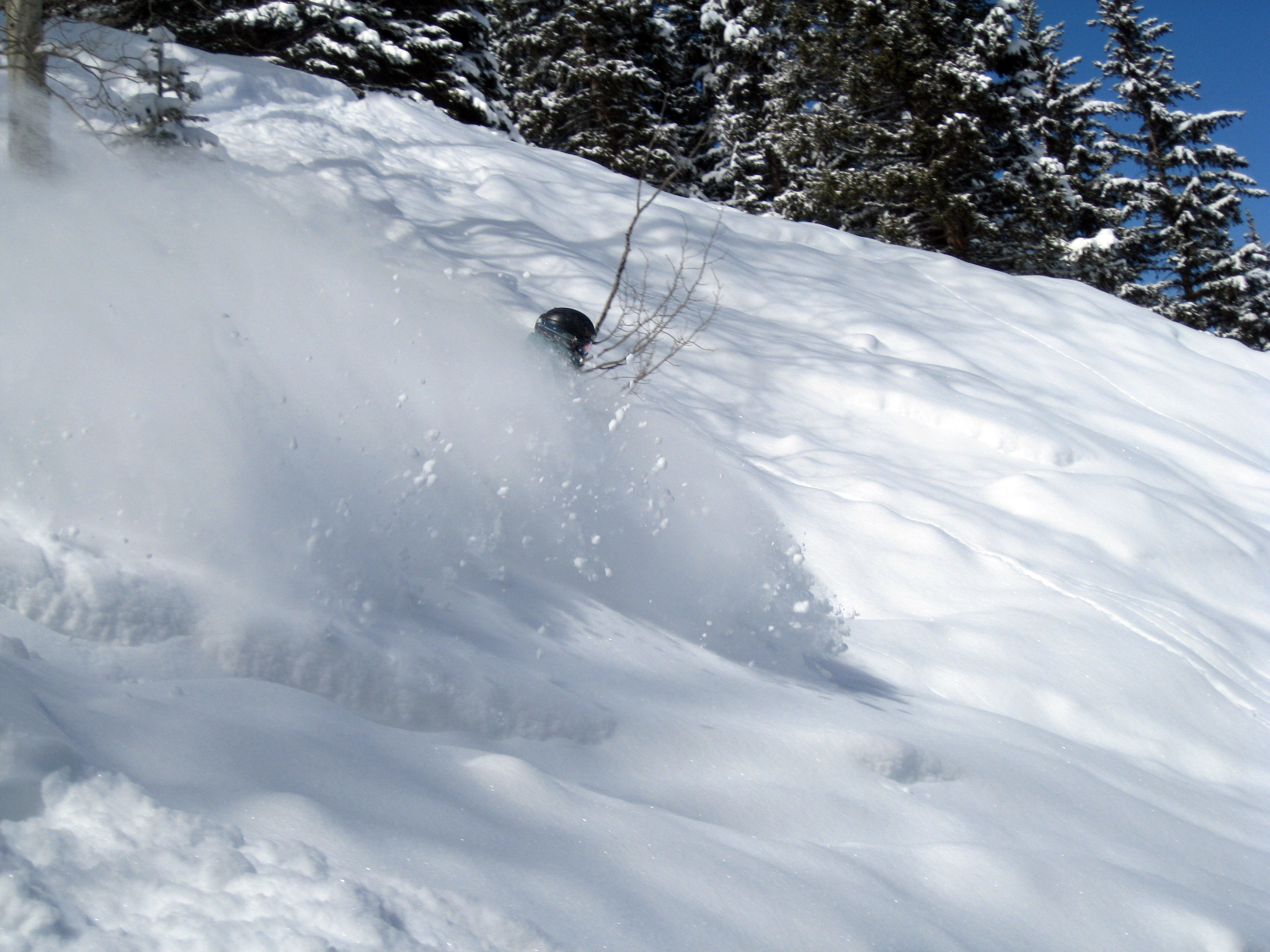Shreddin Pow - 7