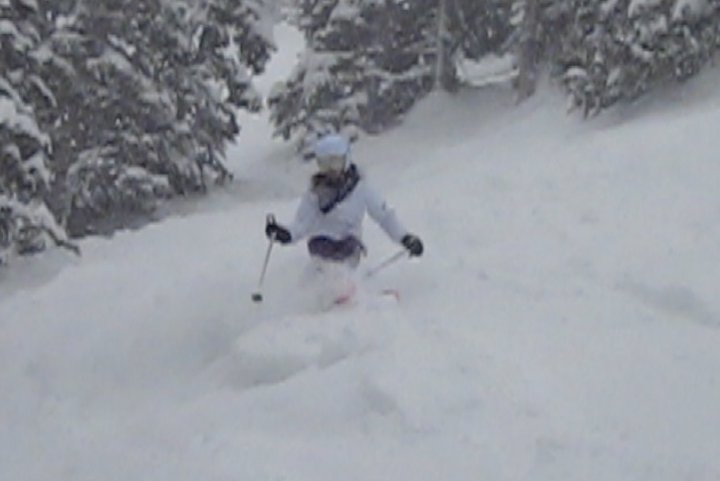 Shreddin Snowbird