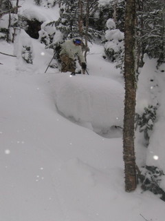 Shreddin the pow
