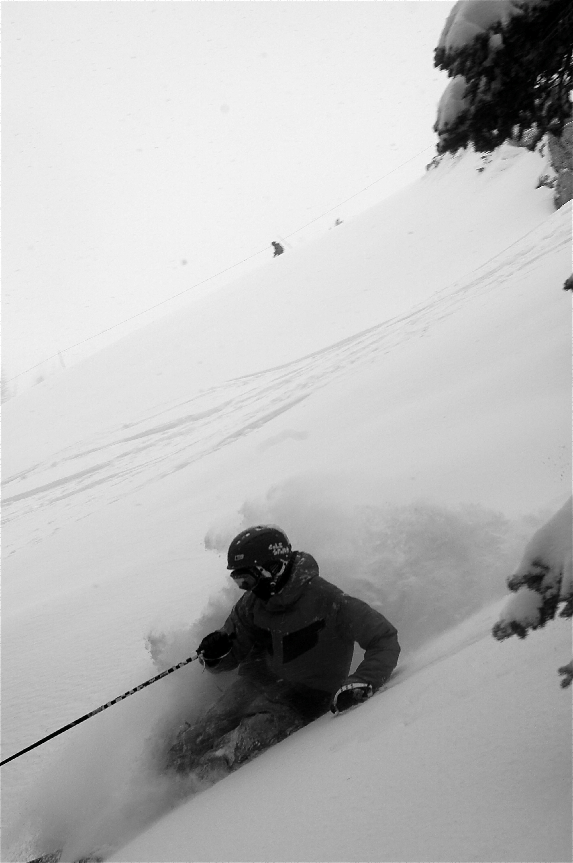 Shreddin utah pow