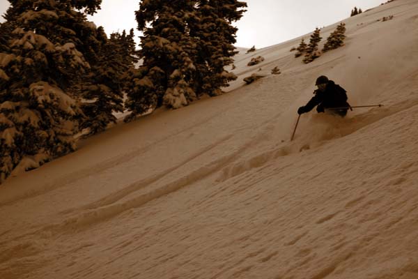 Shreddin'