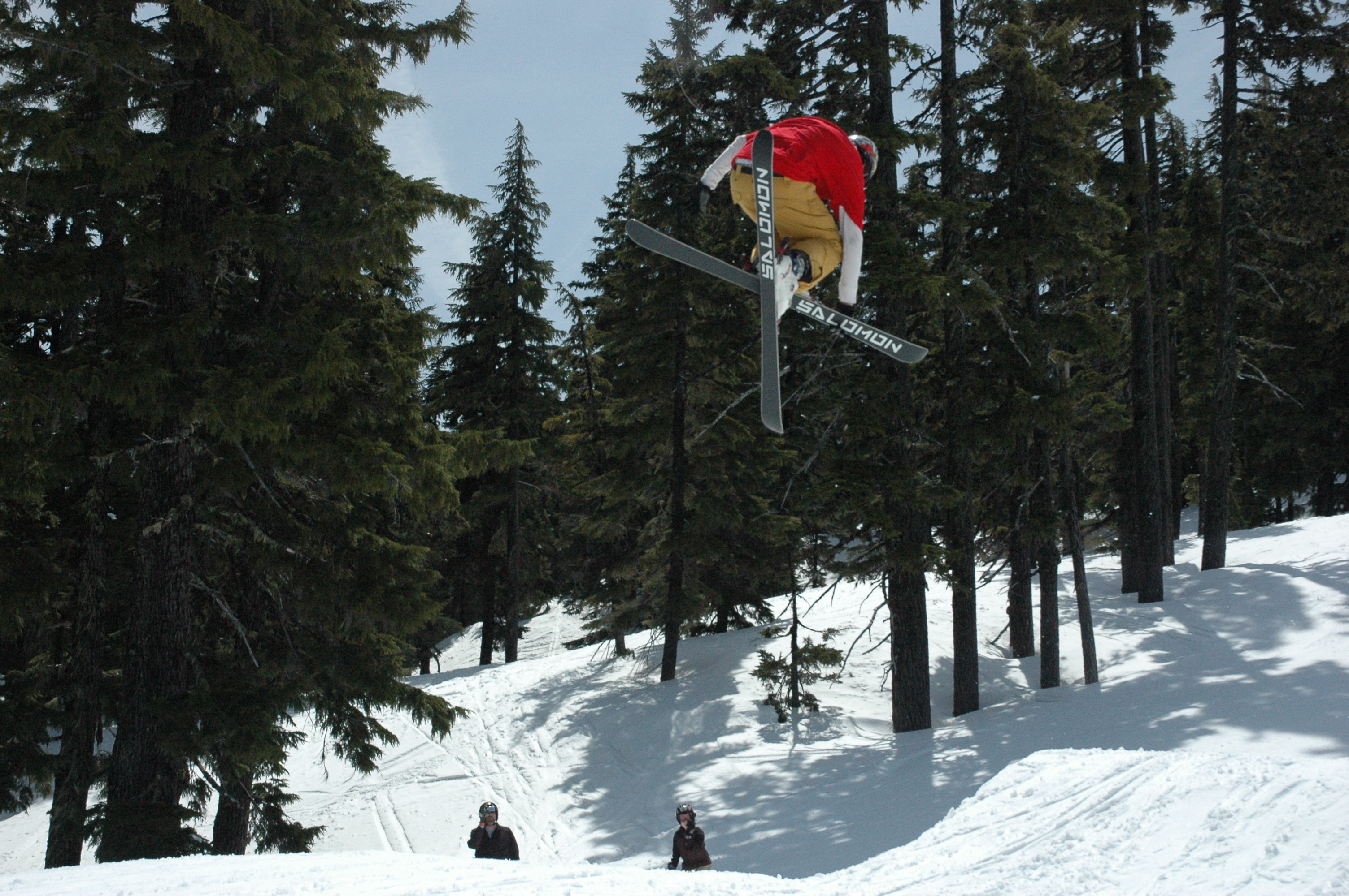 Shredding at bachelor