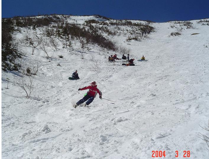Shredding in the Gulf of Slides