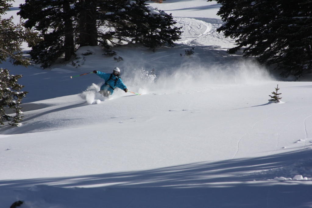 Shredding Pow