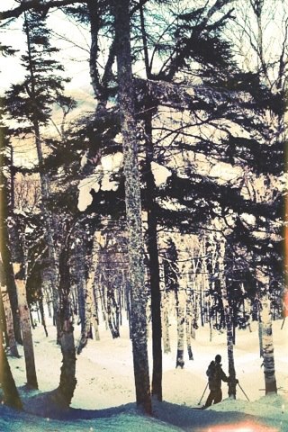 shredding some glades