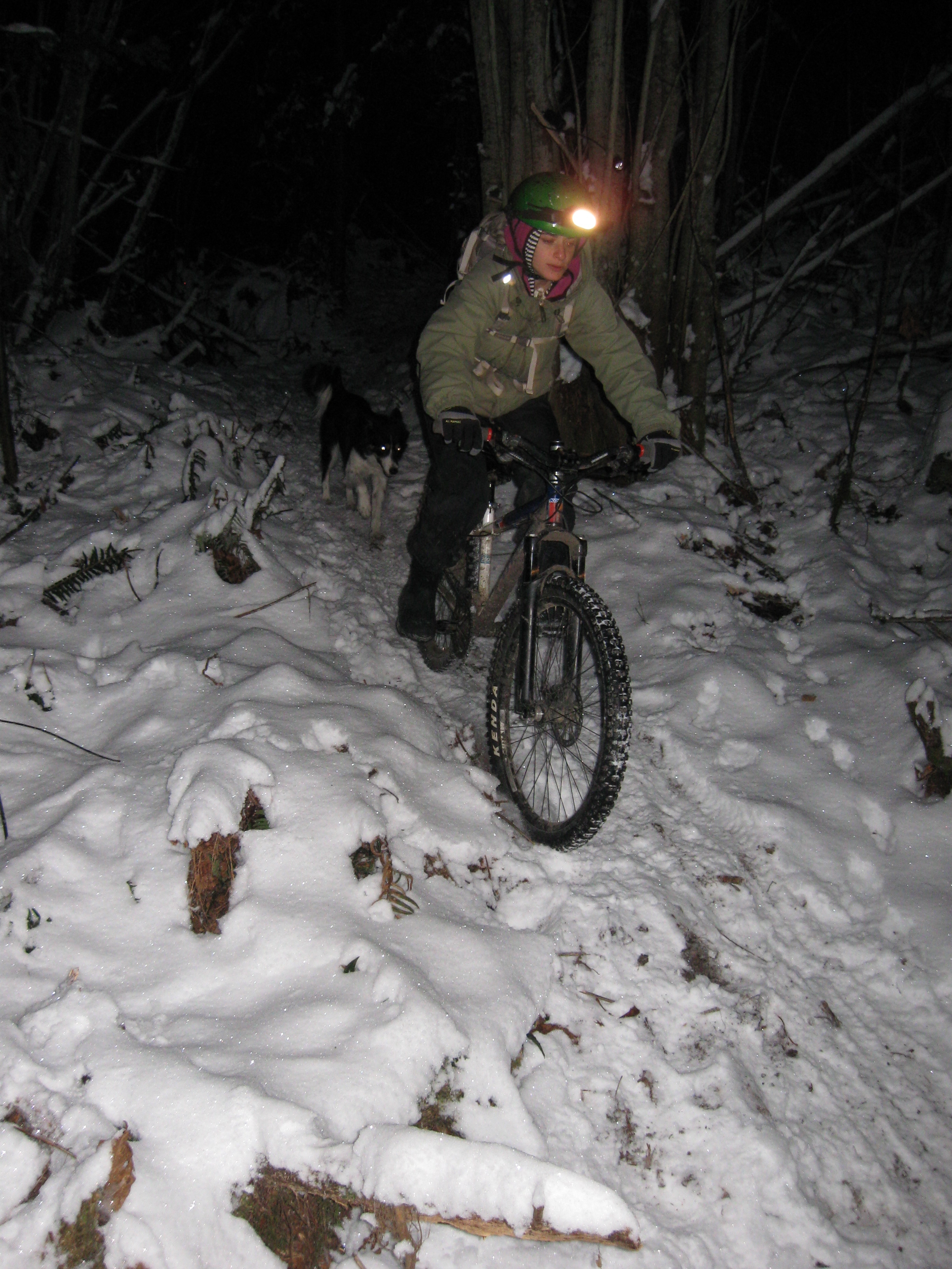 Shredding with my dog