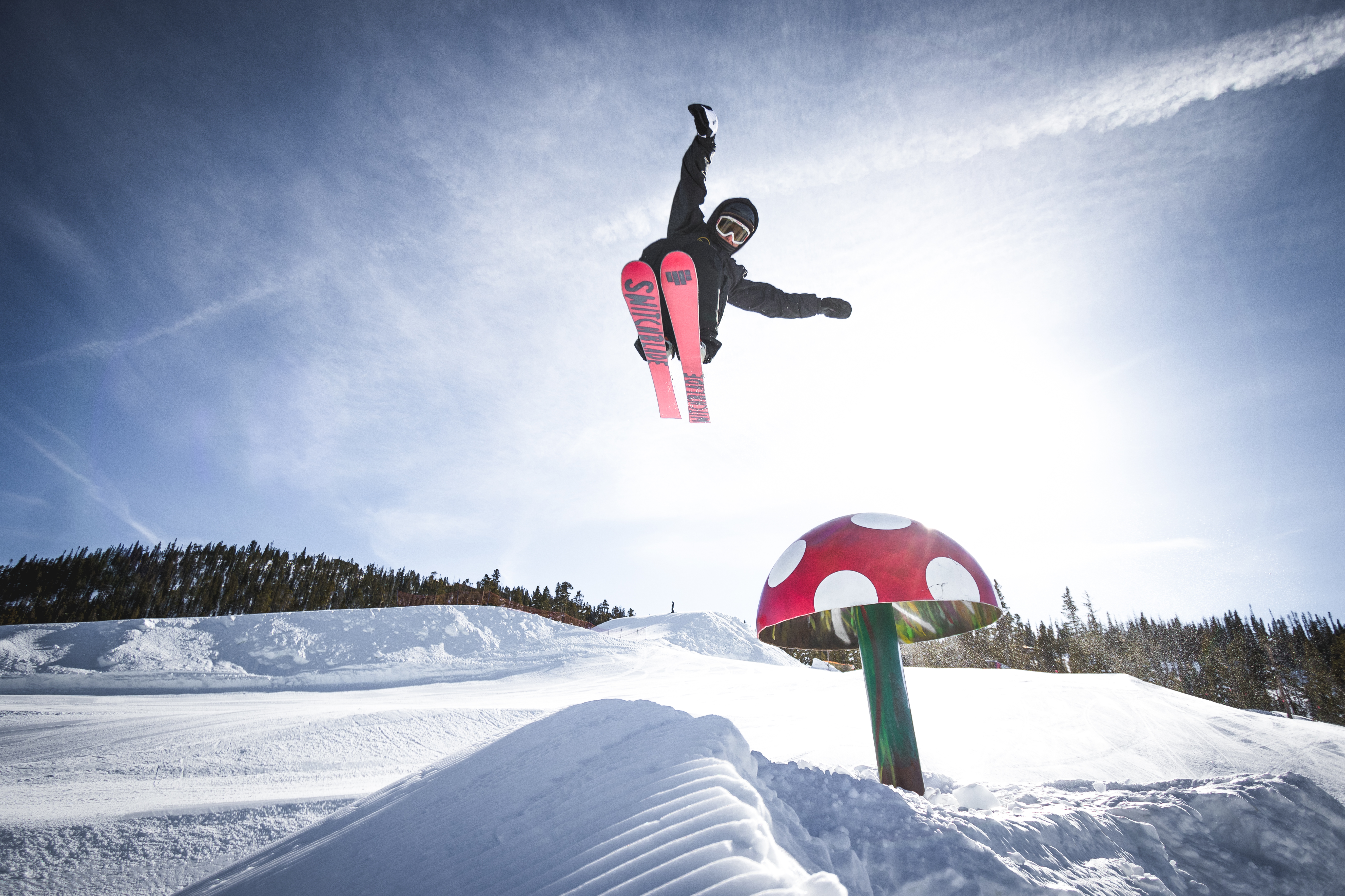 Shrooms // Cal Carson