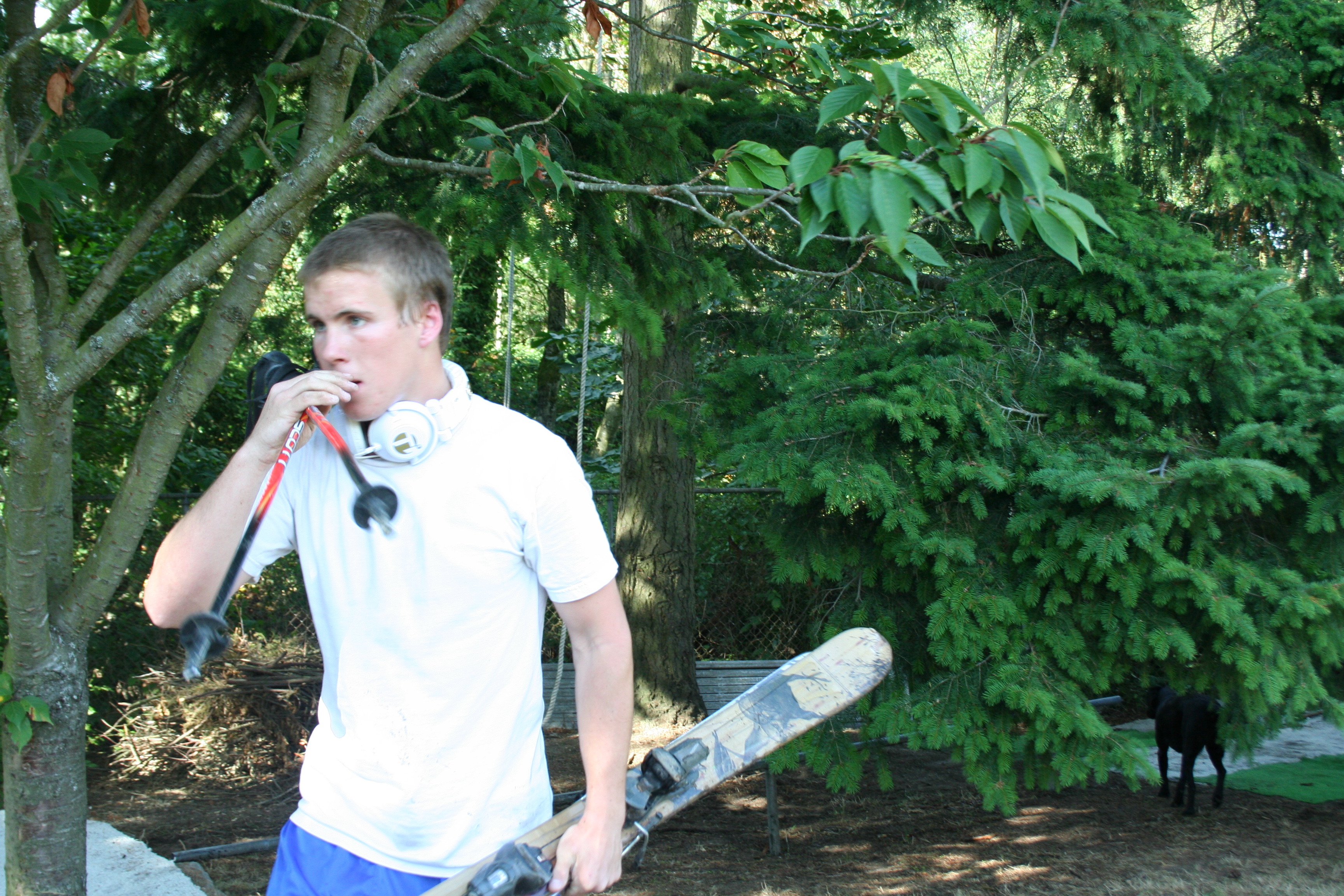 Si me quisieras seguir