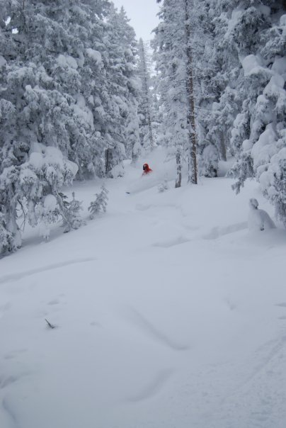 Sick day at brighton