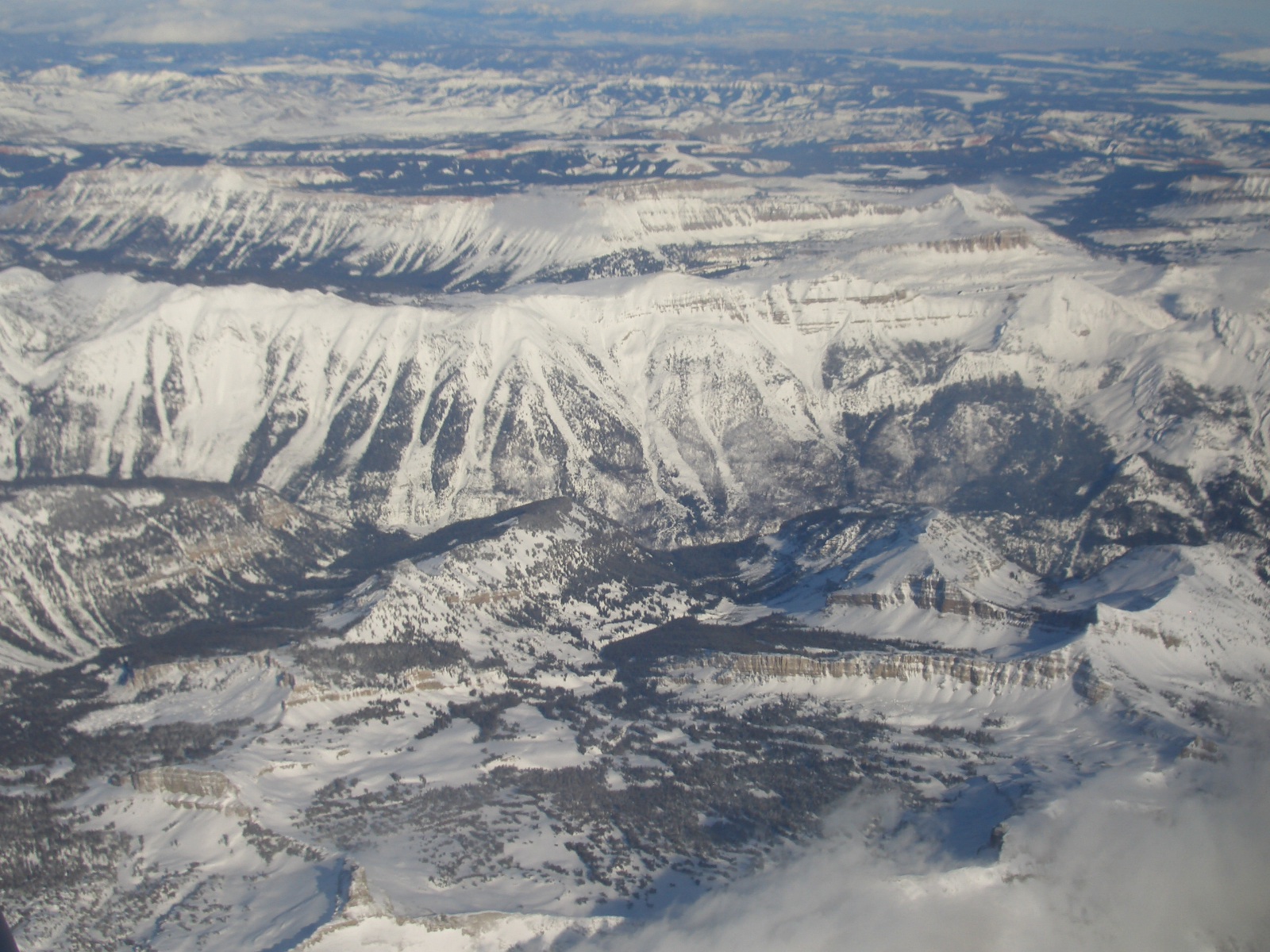 Sick lines from the airplane