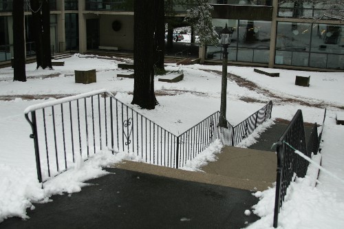 Sick rail at my school