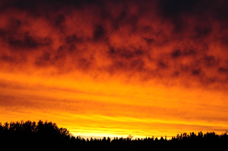 Sick sunset  10:30 pm