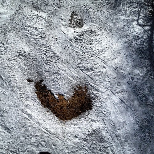 SIGHTING OF THE WU ON GAPER DAY