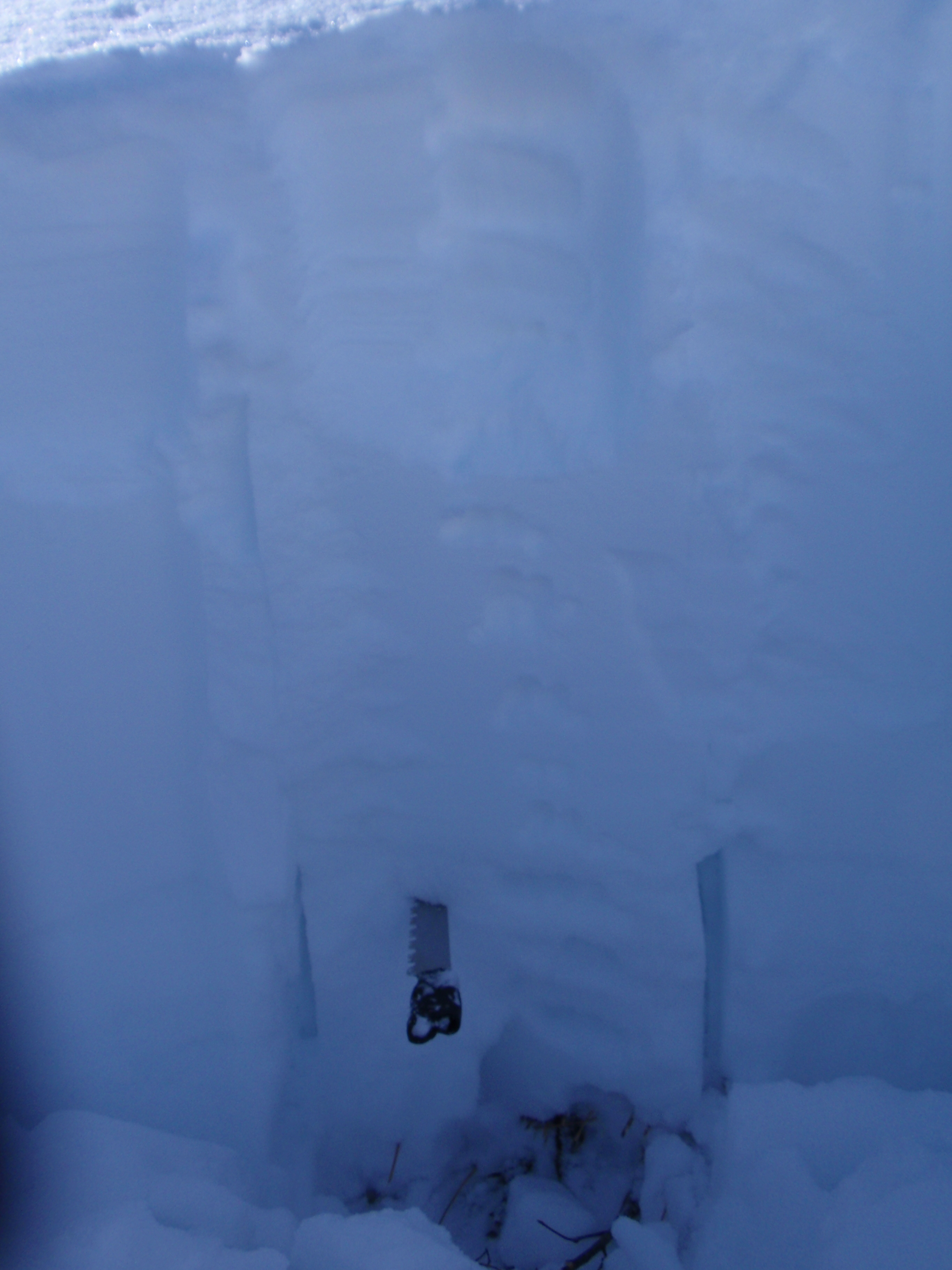 Silver Fork Crown face