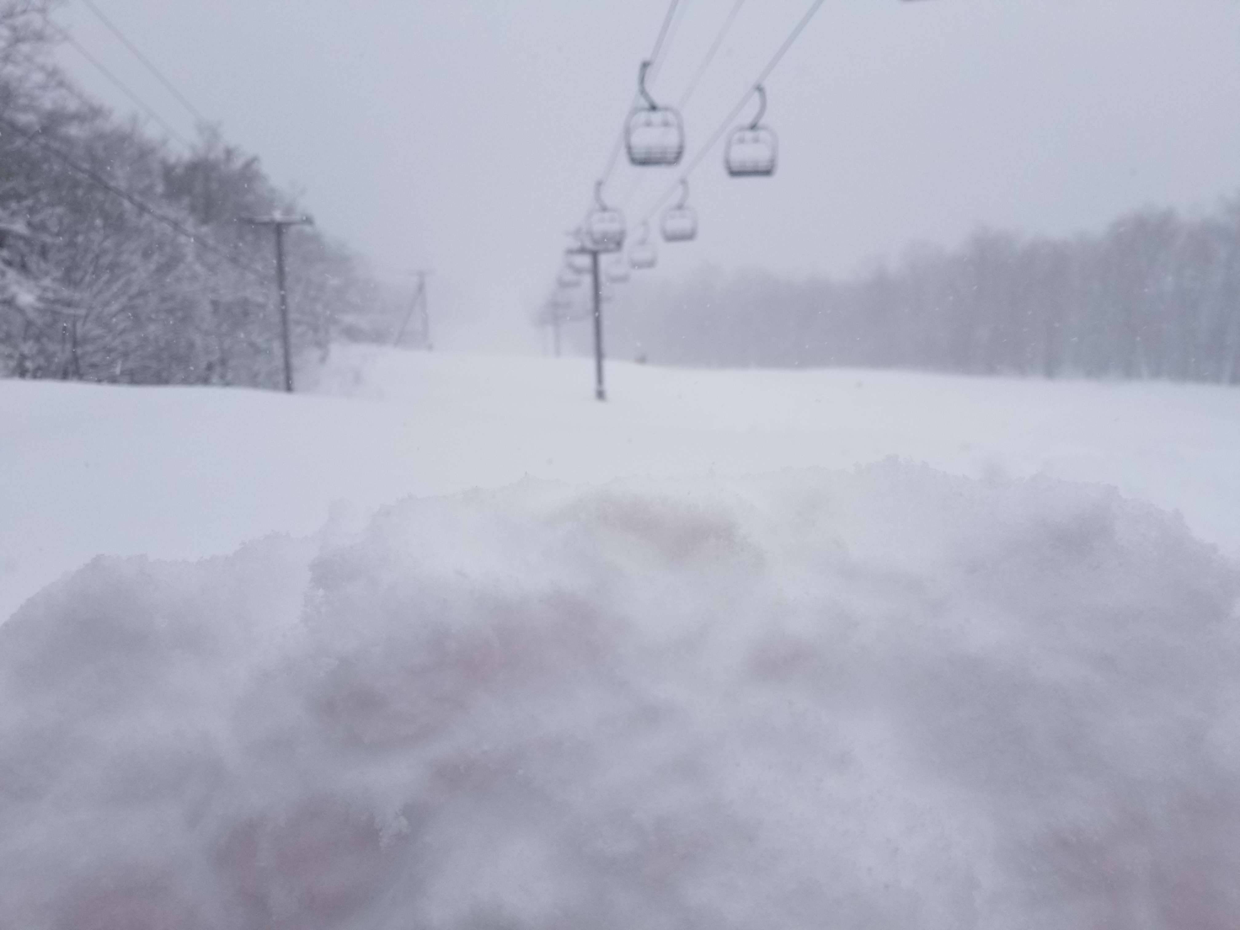 Sitting cool and calm