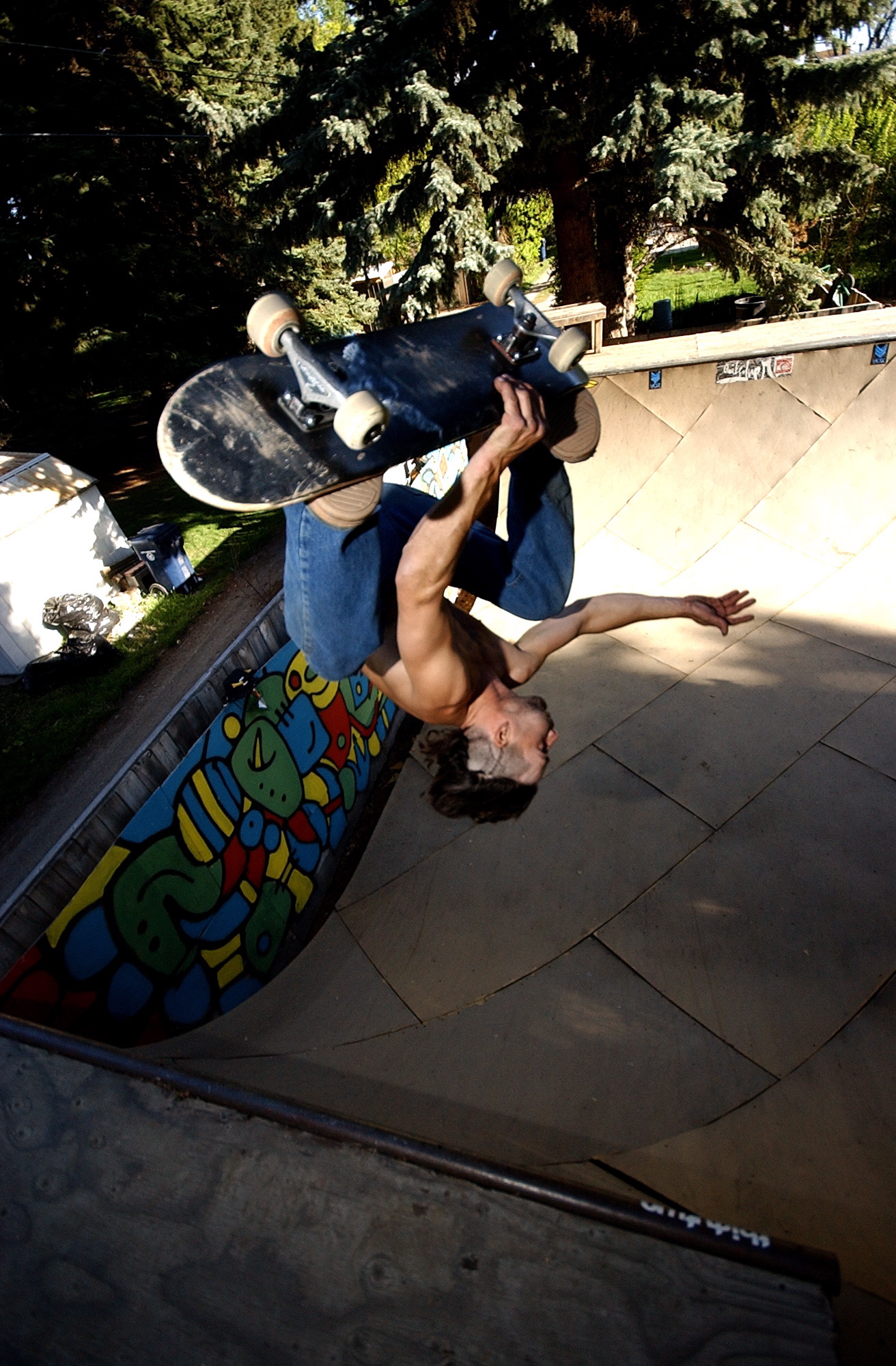 Skate Backflip