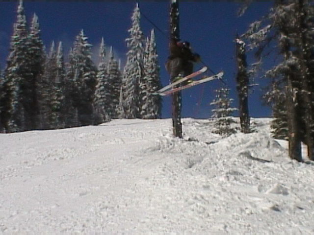 sketchy 180 out of the tree's