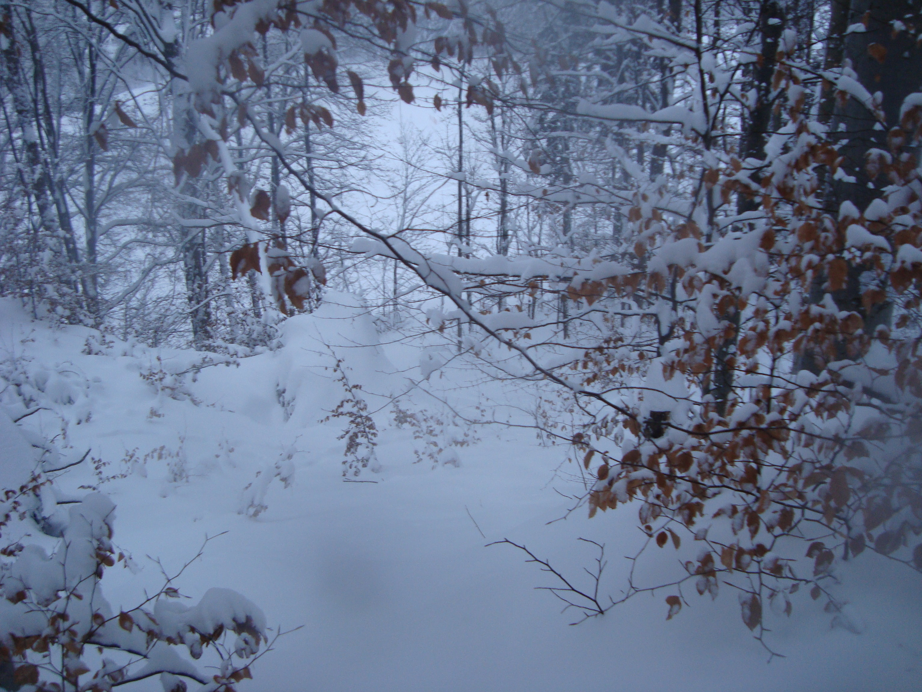 Ski and more in Krkonose - 3 of 6