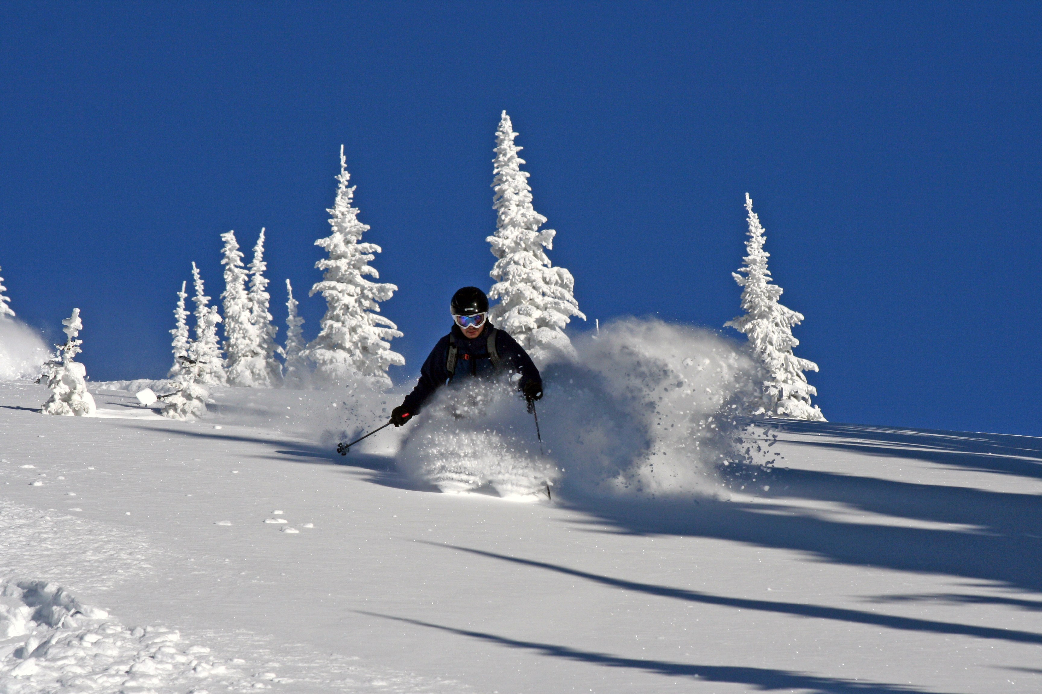 Skiing deep powder