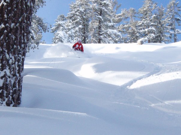 Skiing pow in tahoe