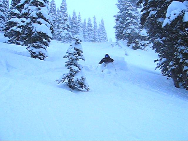 Skiing Powder in Northback