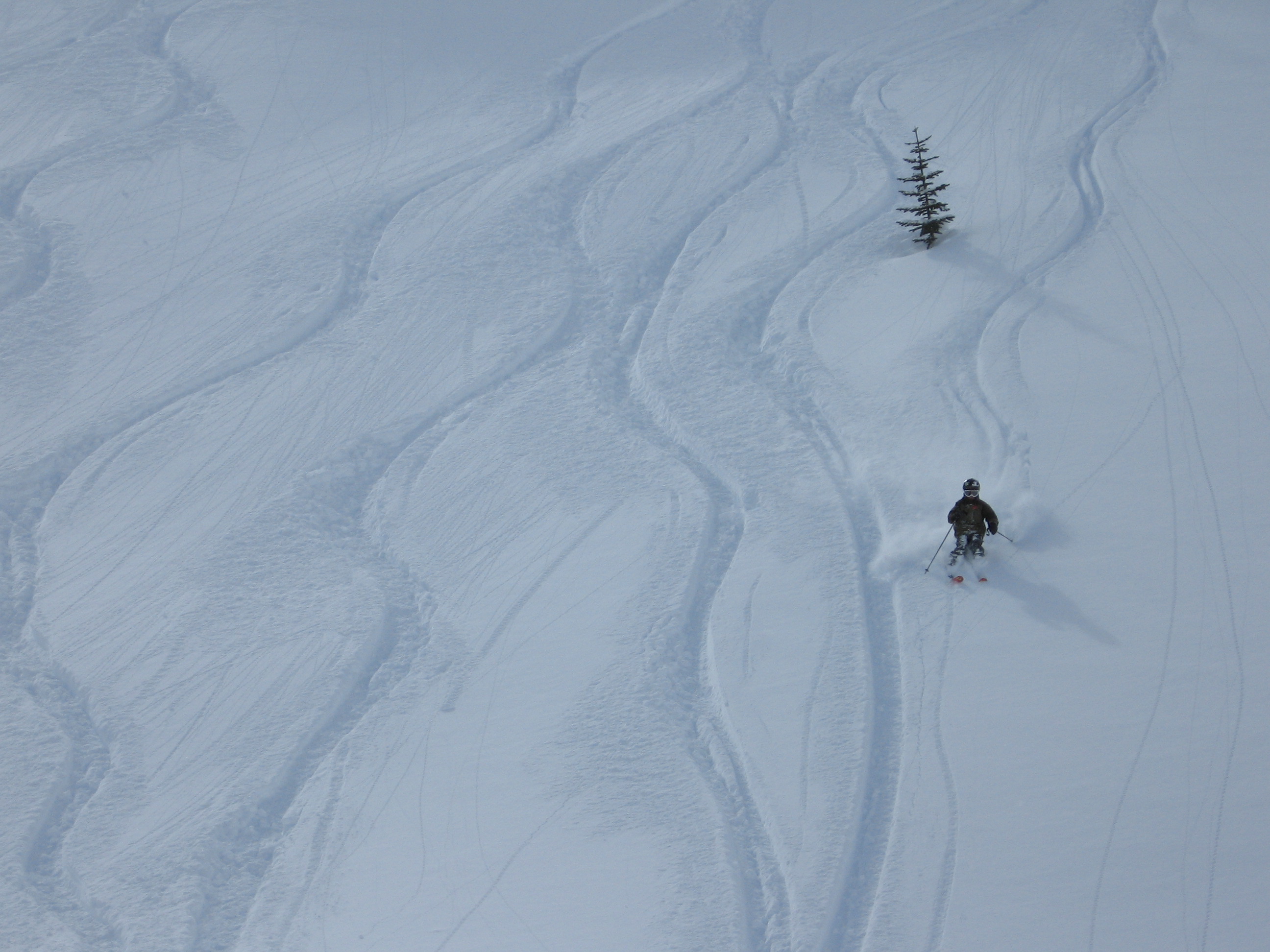 Skiing some BC backcountry