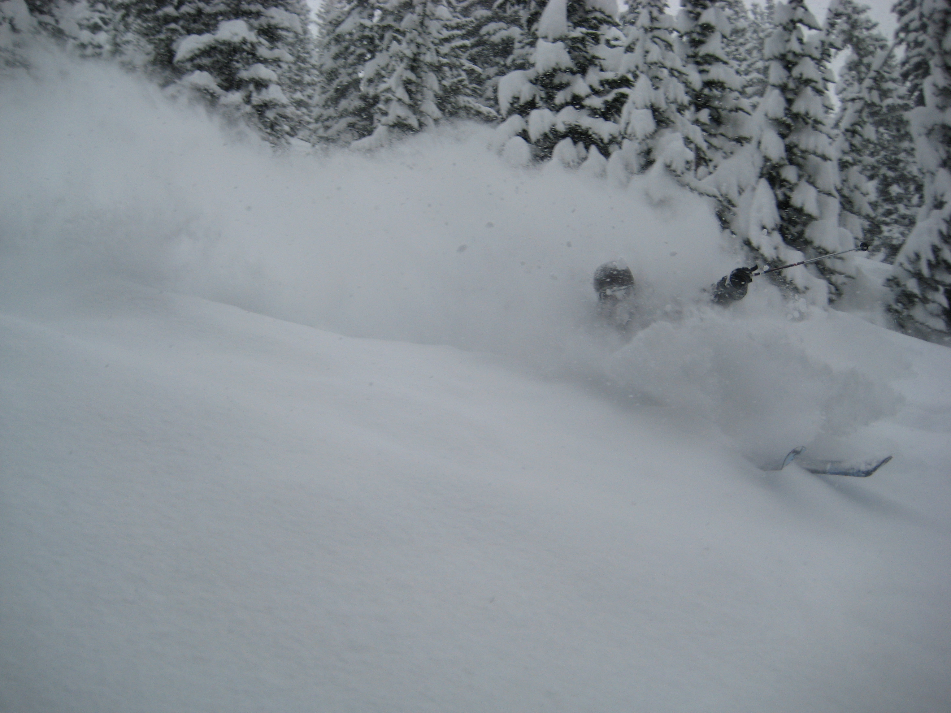 Skiing the pow